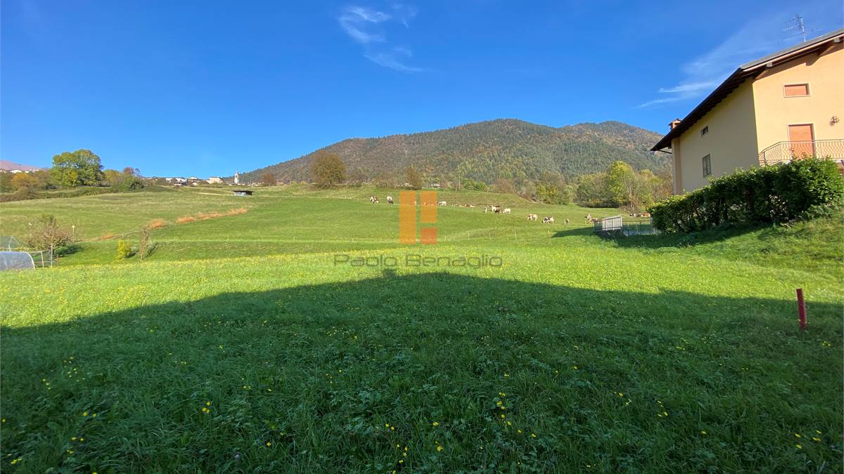 vista